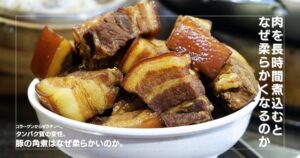 【必見】お肉は長時間煮込むとなぜ柔らかいのか？！