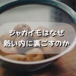 ジャガイモは熱い内に潰す!シェフが教えるマッシュポテトの粘りの原因とは?
